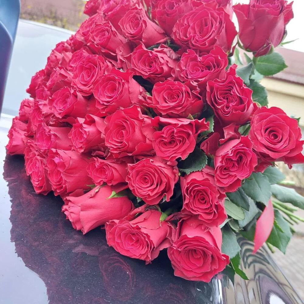 41 красная роза